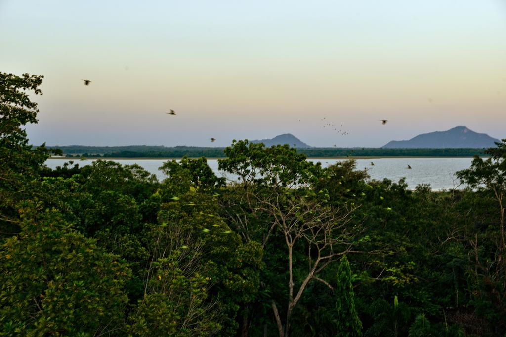 Ceylan Lodge Anuradhapura Buitenkant foto